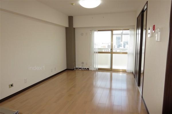 Living. Spacious living
