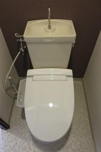 Toilet. Toilet, of course with washlet