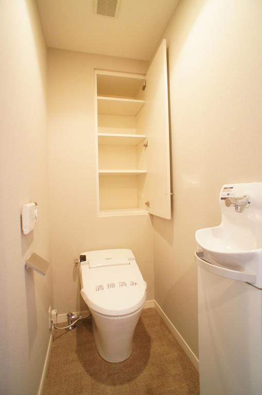 Toilet. What a fashionable hand washing faucet with shower toilet