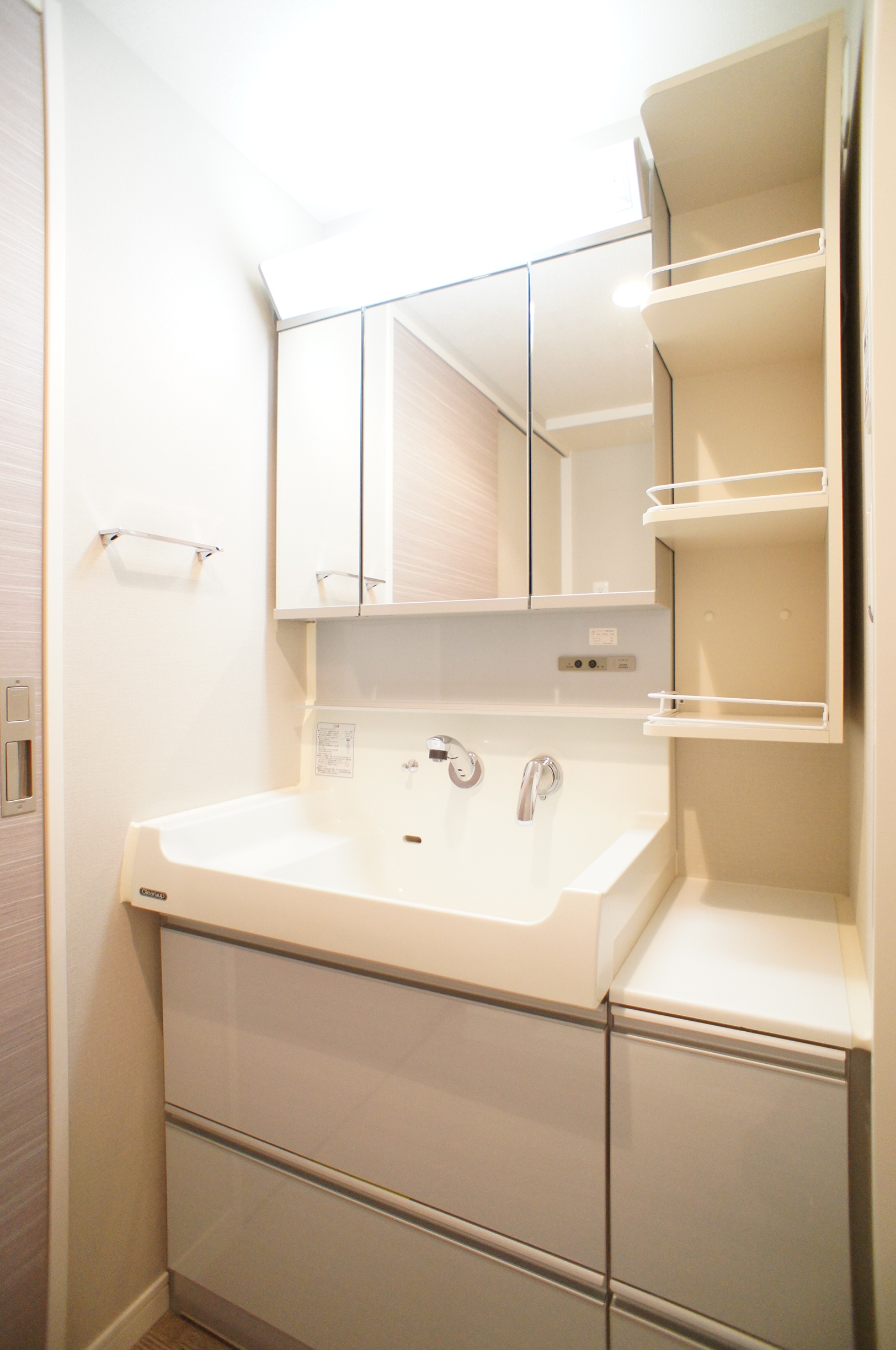 Washroom. Wide basin bowl is excellent functionality!