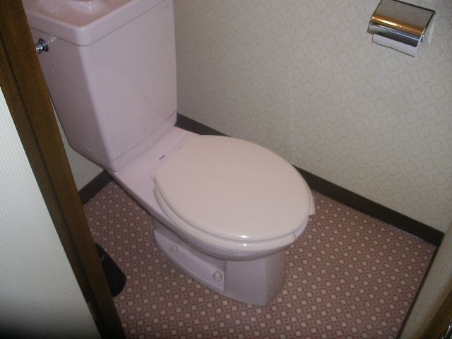 Toilet. Another room reference photograph Bus toilet by