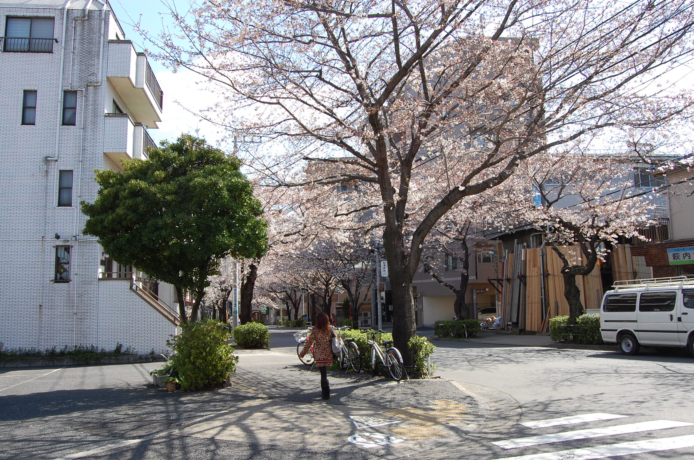 Other. It is easy to live region, What leisurely also walk