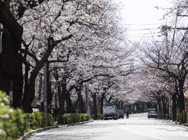 Surrounding environment. Kamuro hill (7 min walk / About 500m)