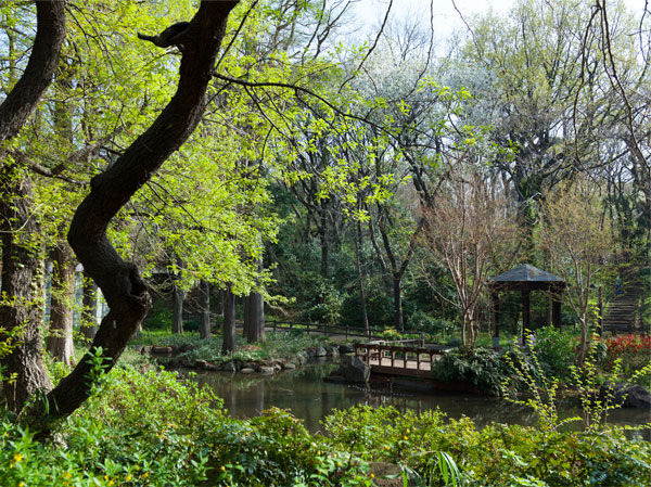Surrounding environment. Hayashi試 of Forest Park (a 12-minute walk / About 950m)