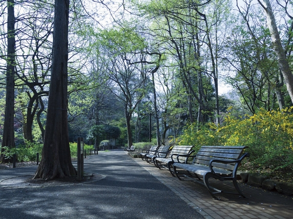 Hayashi試 of Forest Park (12 minutes, about 950m walk)