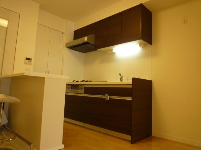 Kitchen. Room (August 2013) Shooting System is a kitchen with back counter