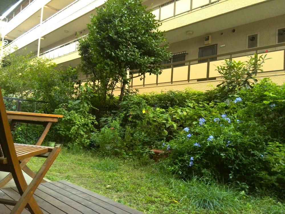 Garden. terrace, Private garden (11 May 2013) Shooting