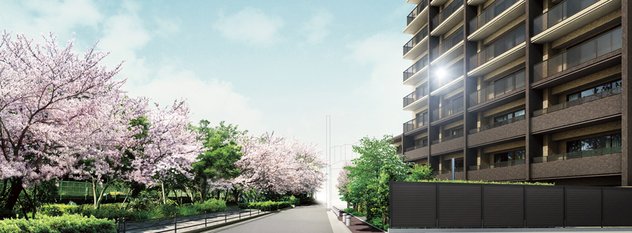 Appearance (Rendering CG)