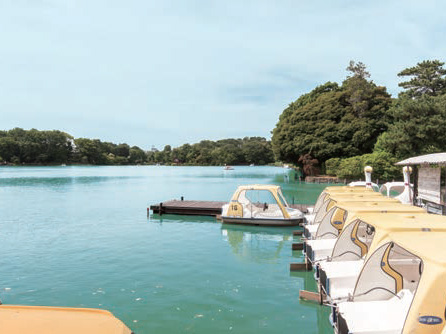 Surrounding environment. Senzokuike (about 800m, A 10-minute walk)