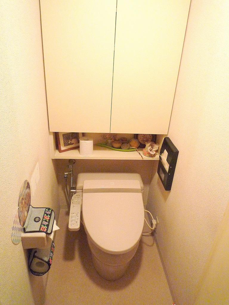 Toilet. Large storage, With space to decorate small items, Guests can enjoy a season of interior