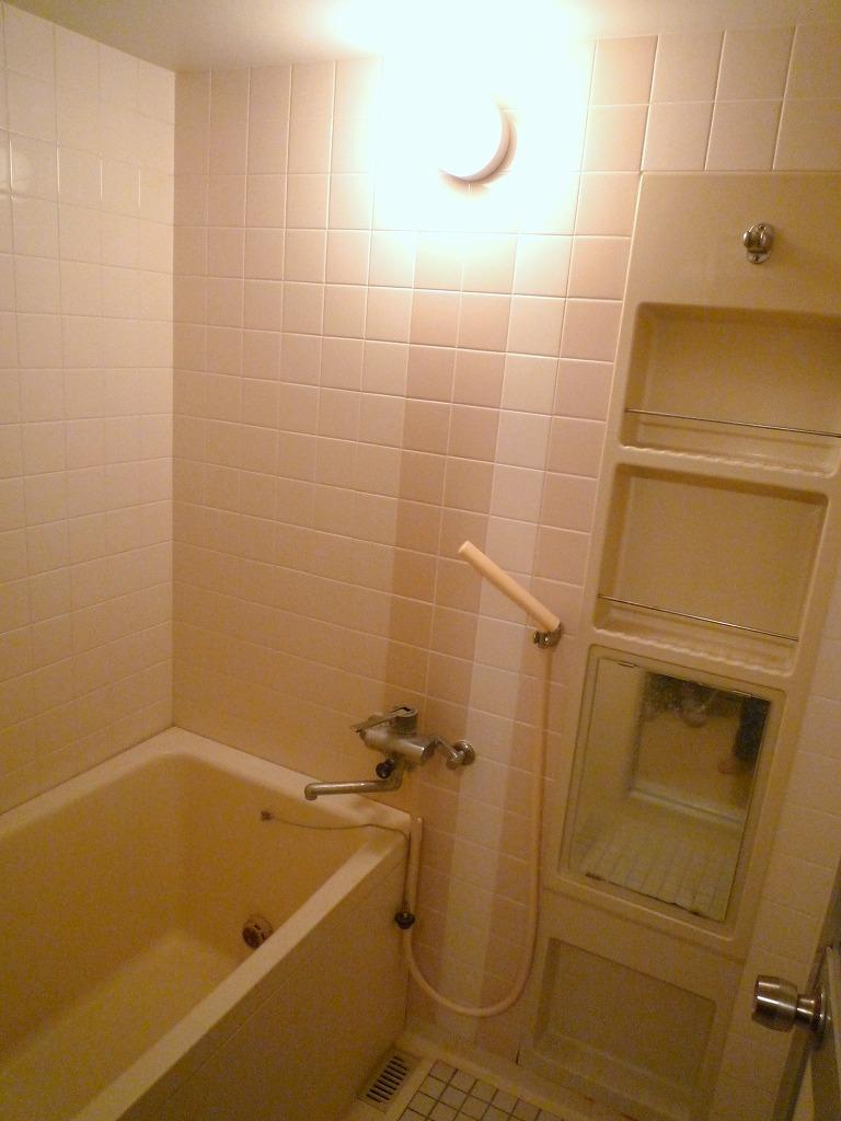 Bathroom. Bright bathroom with cleanliness Indoor (June 2013) Shooting