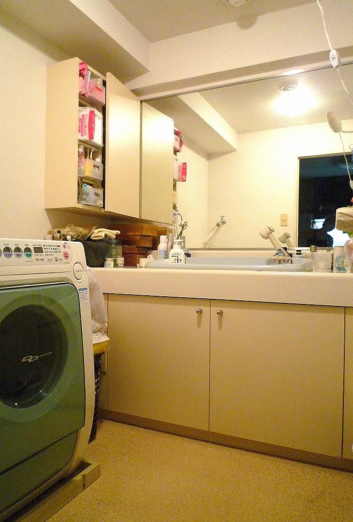Wash basin, toilet. Convenient large mirror