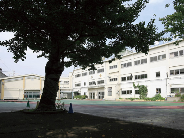 Surrounding environment. Ward Samehama elementary school (about 920m ・ A 12-minute walk)