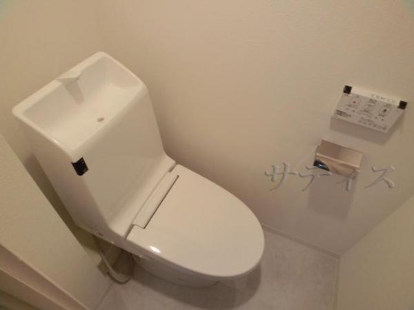 Toilet. Clean toilets