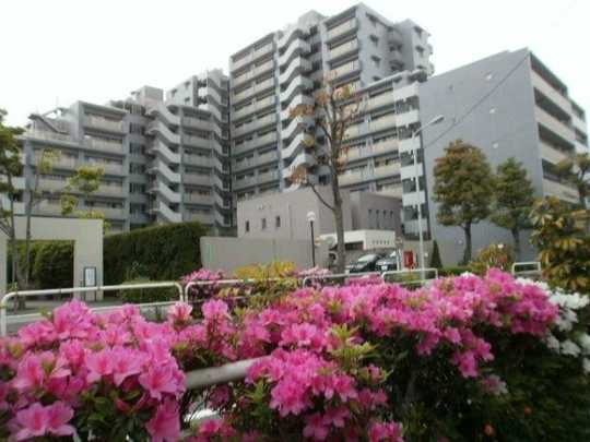 Local appearance photo. appearance