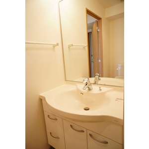 Washroom. Independent wash basin