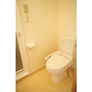 Toilet. toilet Warm water washing toilet seat