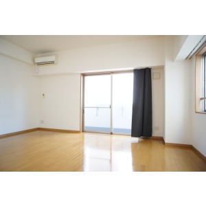 Living and room. Western style room