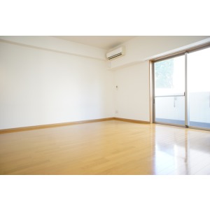 Living and room. Western style room