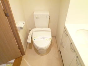 Toilet. ● a shower toilet function