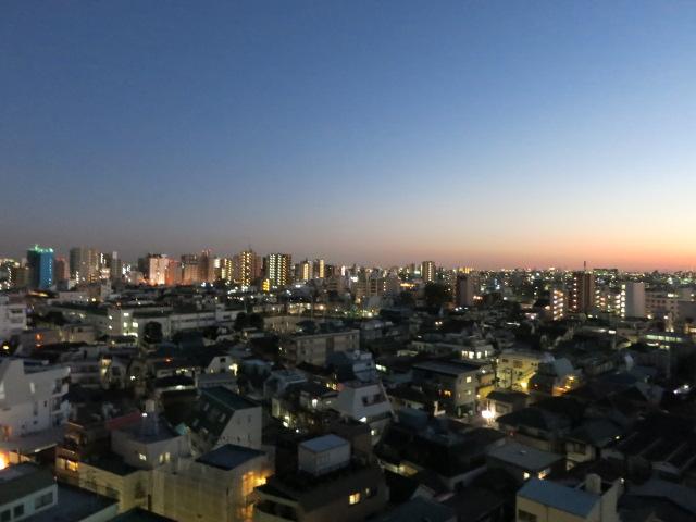 View photos from the dwelling unit. View from the balcony (dusk)