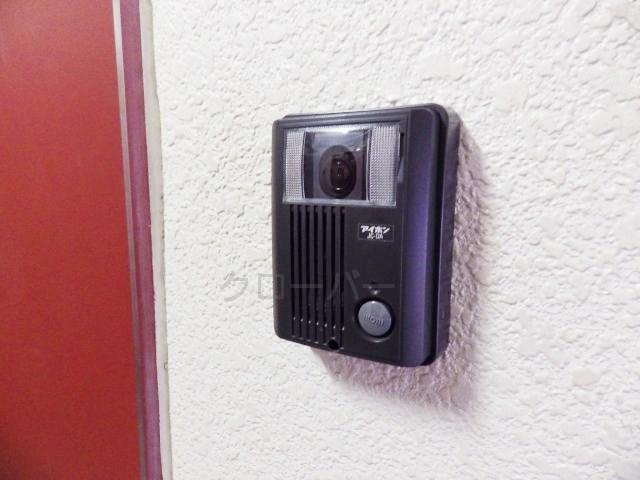 Other introspection. Camera-equipped intercom