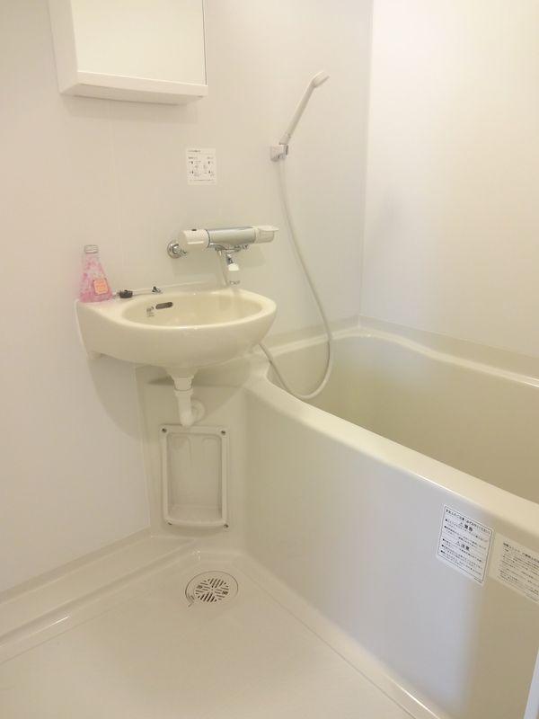 Wash basin, toilet. Wash, unit bus