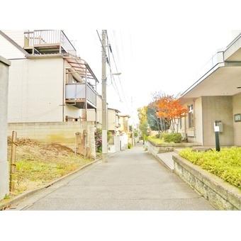 Local photos, including front road. Local (12 May 2013) Shooting