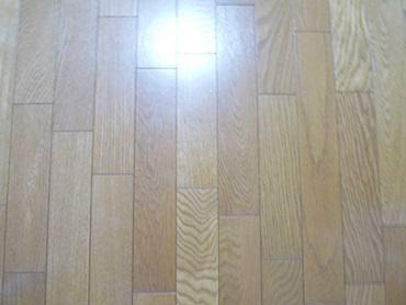 Other. The color of the flooring