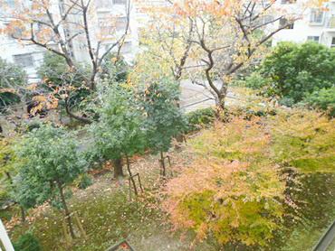 Other. Is the view from the balcony.
