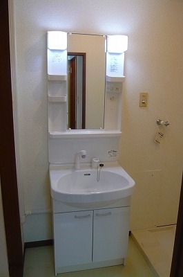 Washroom. Wash basin