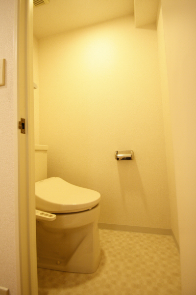 Toilet. Installing a hot water cleaning toilet seat new.