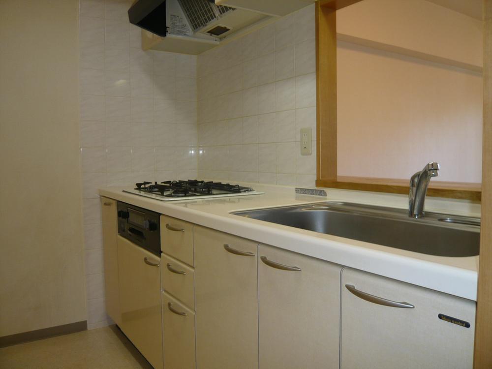 Kitchen. The same type of kitchen!