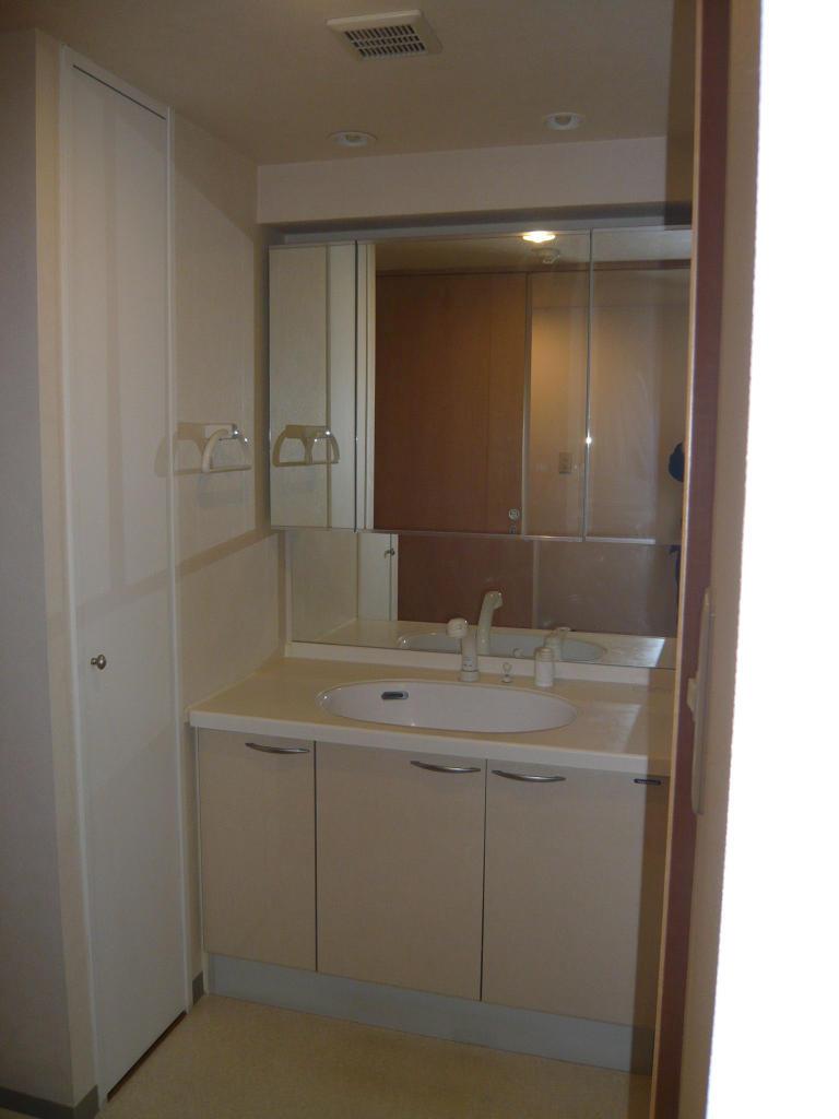Wash basin, toilet. It is the washstand of a large mirror!