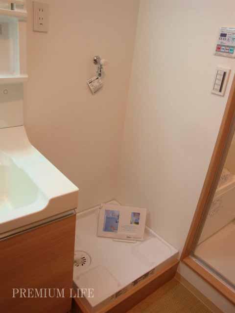 Other introspection. Laundry Area