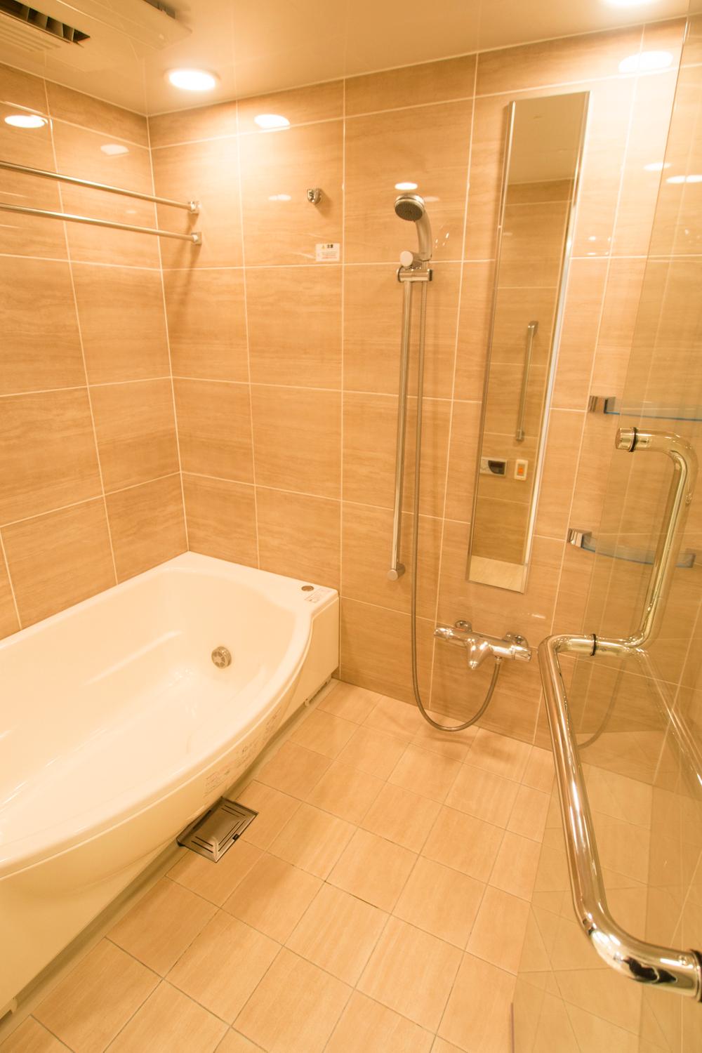 Bathroom. Indoor (12 May 2013) Shooting