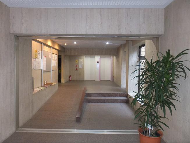 Entrance. Common areas