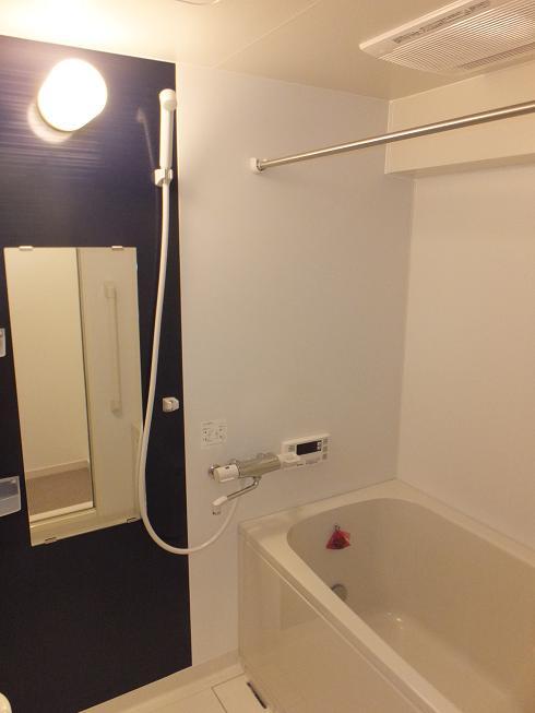 Bathroom. Indoor (11 May 2013) Shooting