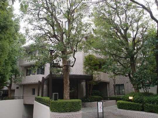 Local appearance photo. Exterior Photos