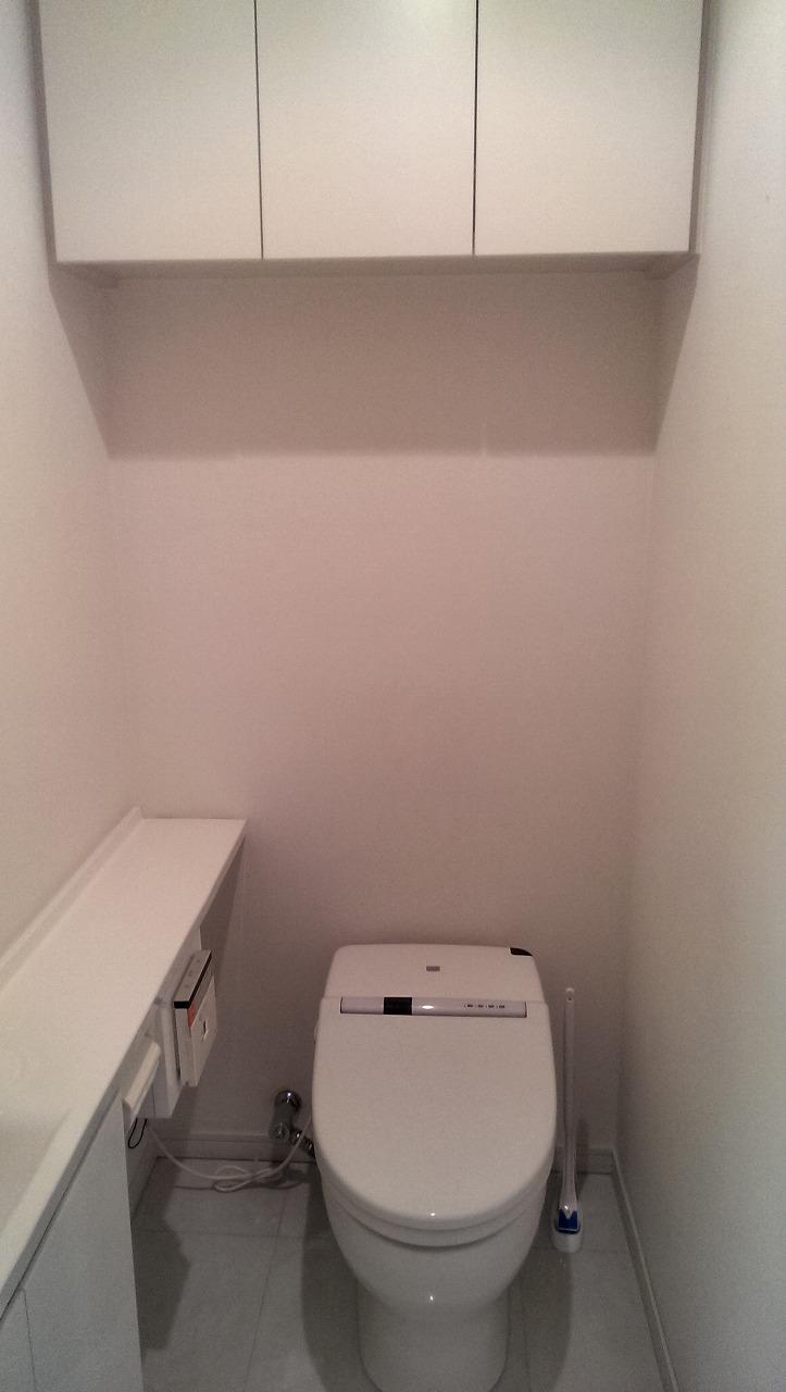 Toilet. Indoor (September 2013) Shooting