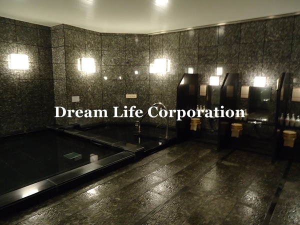 Other common areas. Big bath