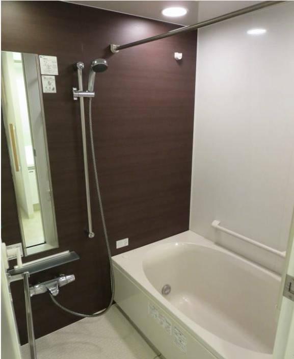 Bathroom. Indoor (12 May 2013) Shooting