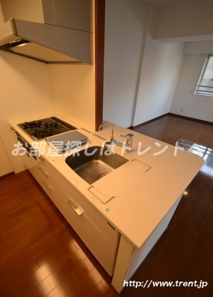 Kitchen. It is a photograph of the same building (another type). Please see for reference.