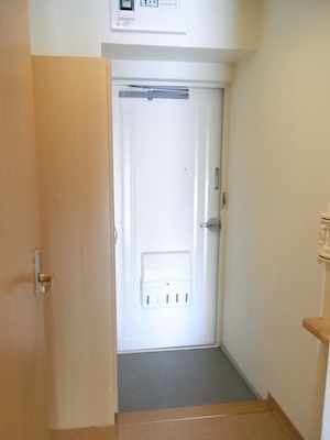 Entrance. Entrance hall