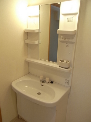 Washroom. Large independent vanity