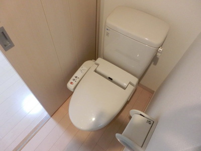 Toilet. Bidet with toilet