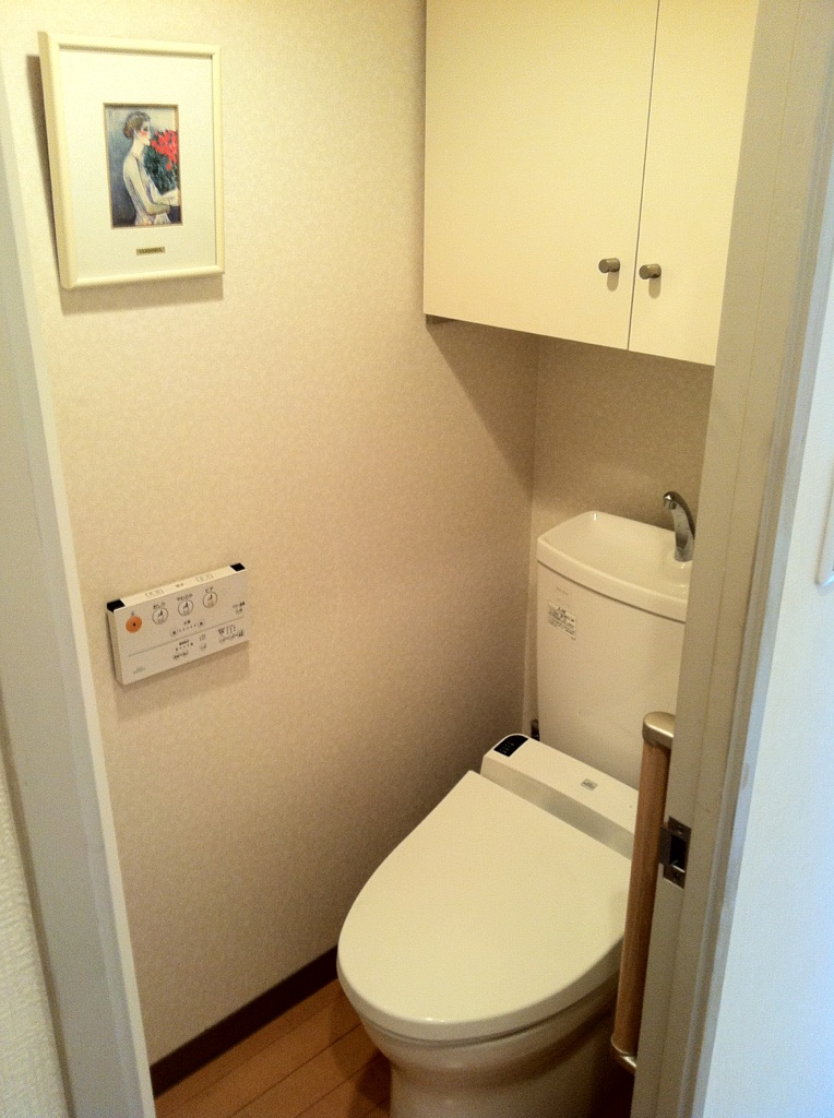 Toilet. Warm water washing toilet seat