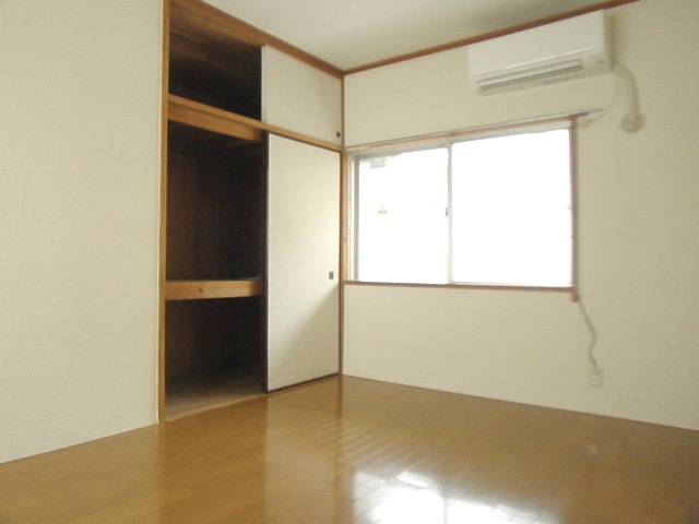 Living and room. Closet of storage capacity looks attractive