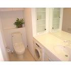 Washroom. It comes with drying washing machine