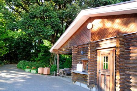 park. Mejiro Forest up to (park) 739m